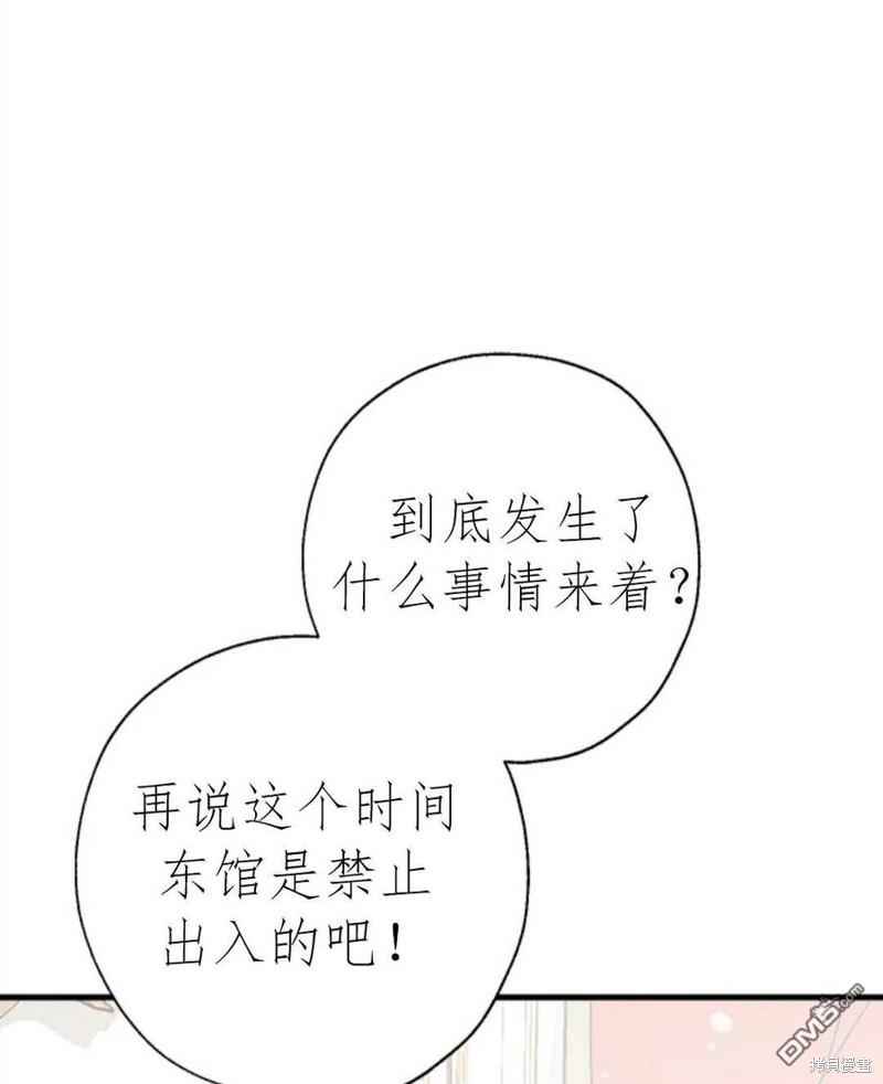 66.jpg