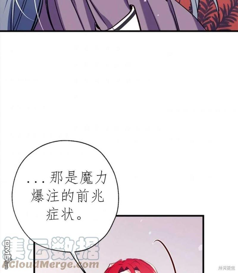 113.jpg