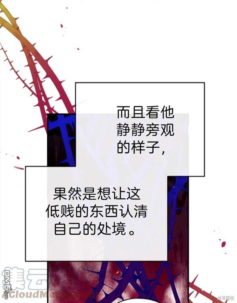 73.jpg