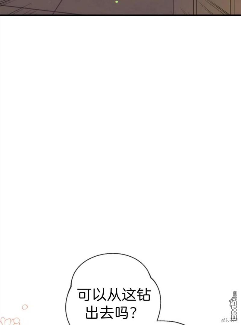 67.jpg