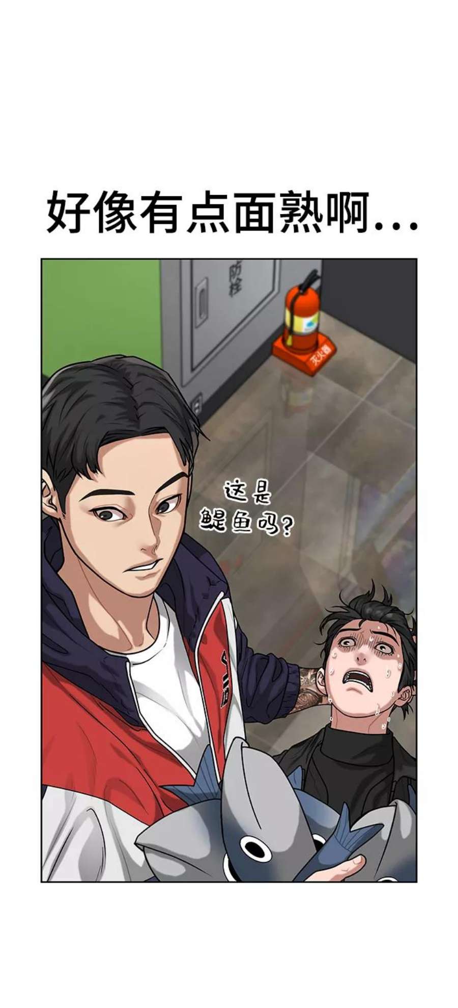 51.jpg