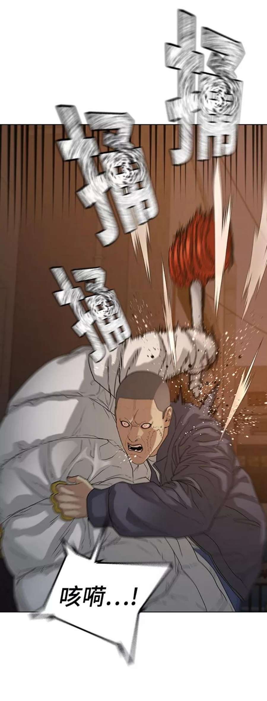 17.jpg