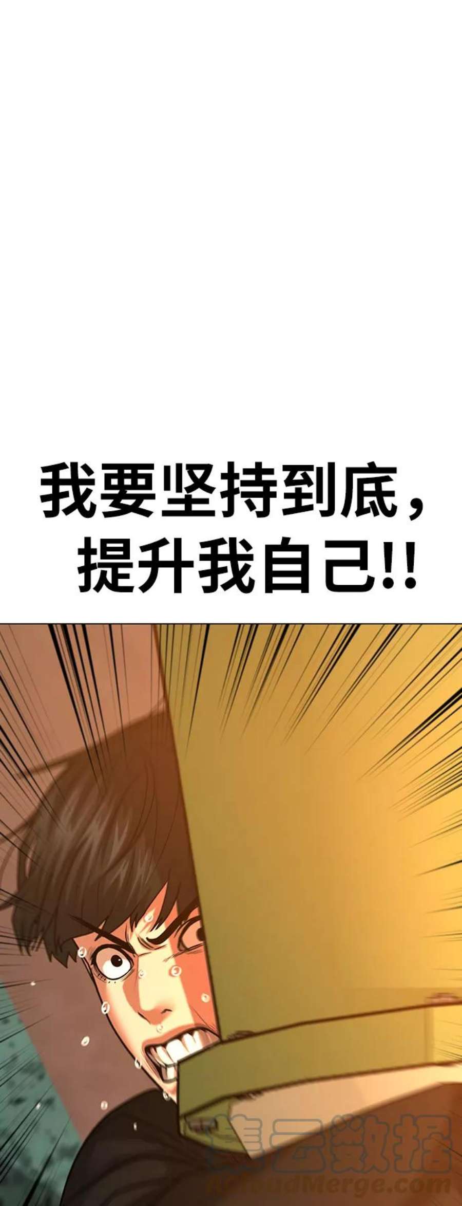 73.jpg