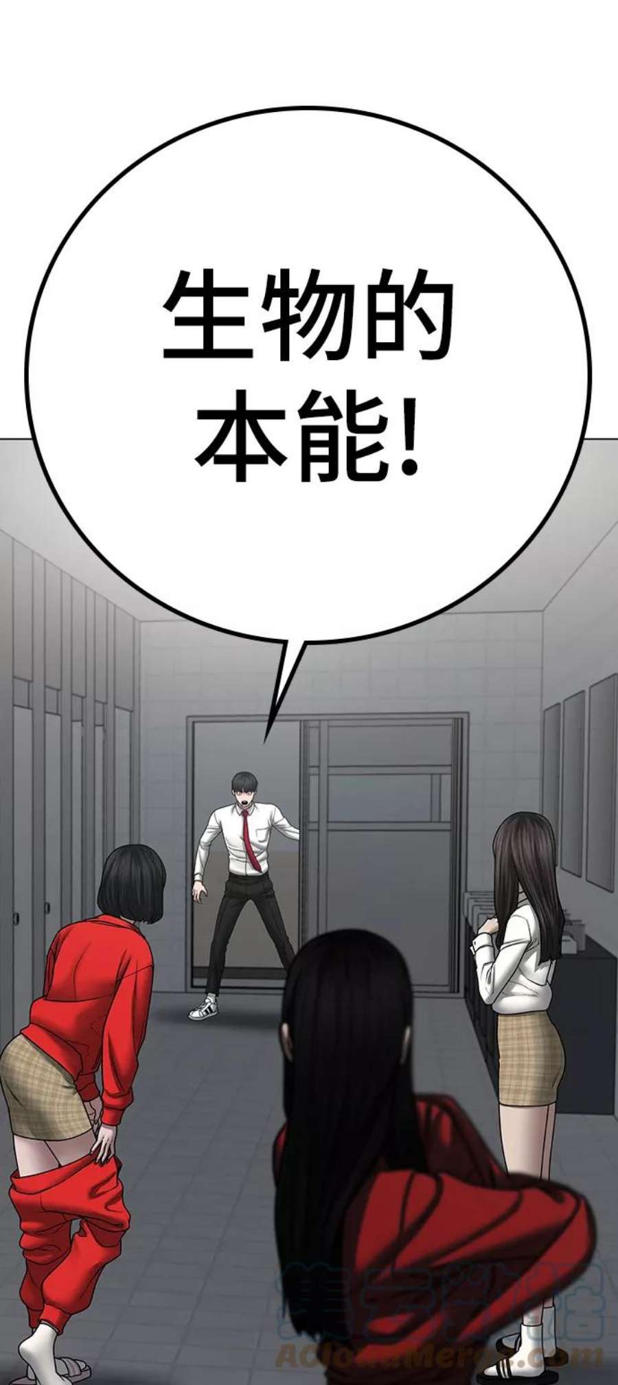 101.jpg