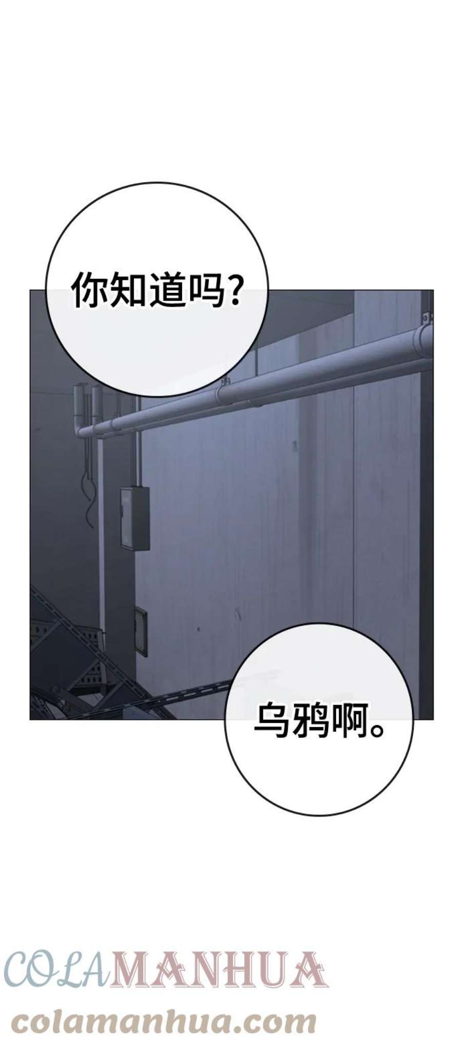65.jpg