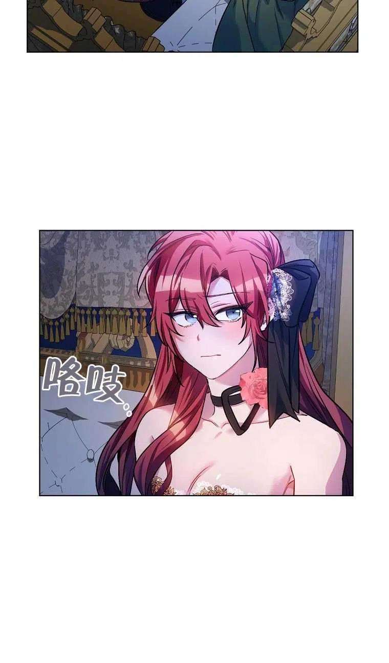 41.jpg