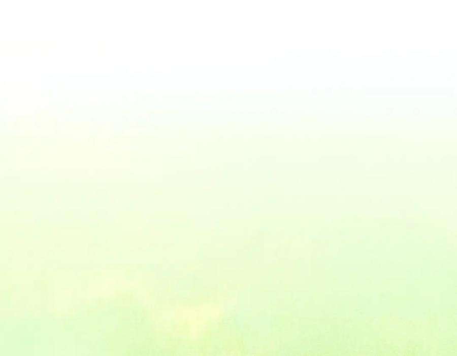 199.jpg