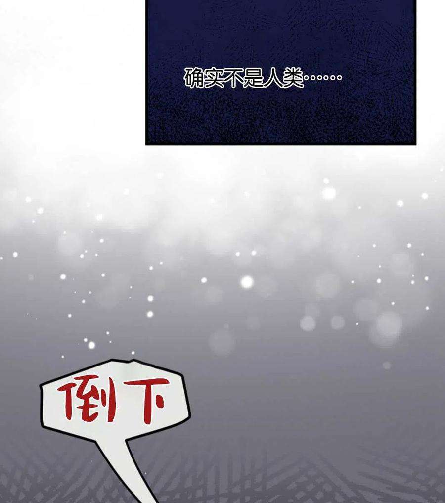 54.jpg