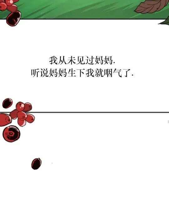 78.jpg