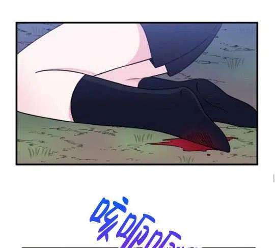 48.jpg