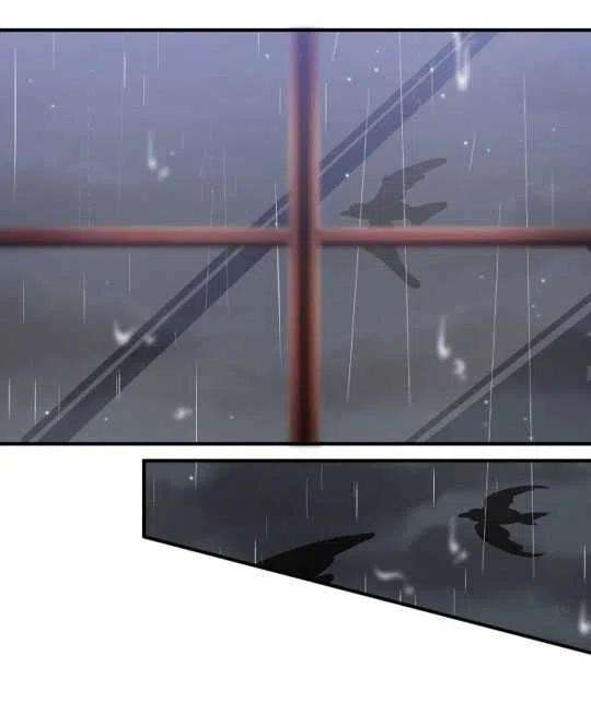 60.jpg