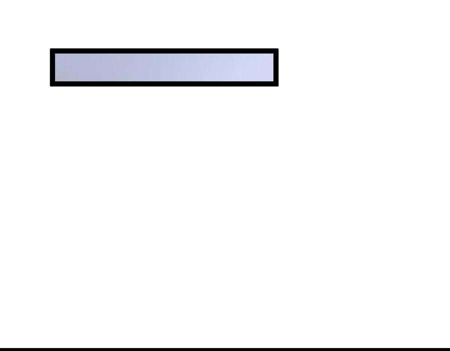 198.jpg