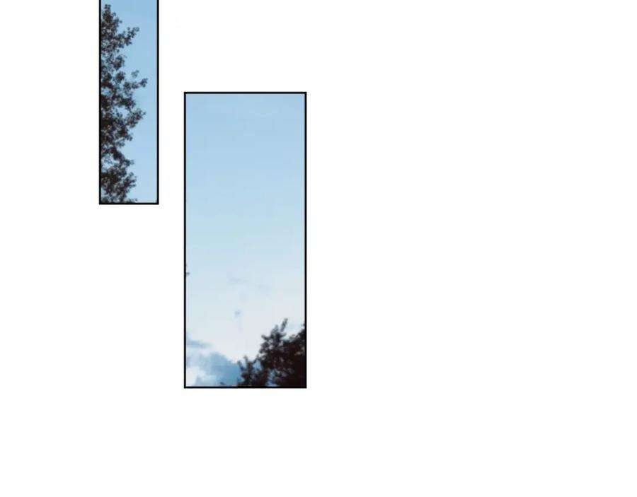 161.jpg