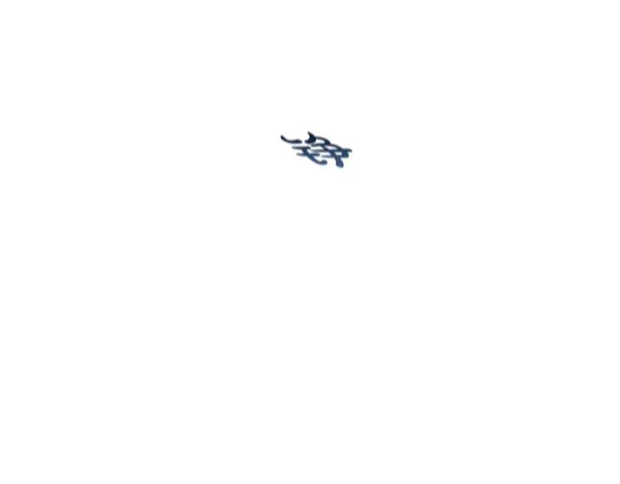 225.jpg