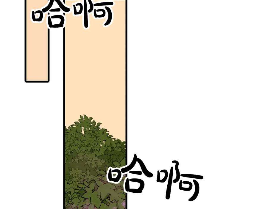 117.jpg