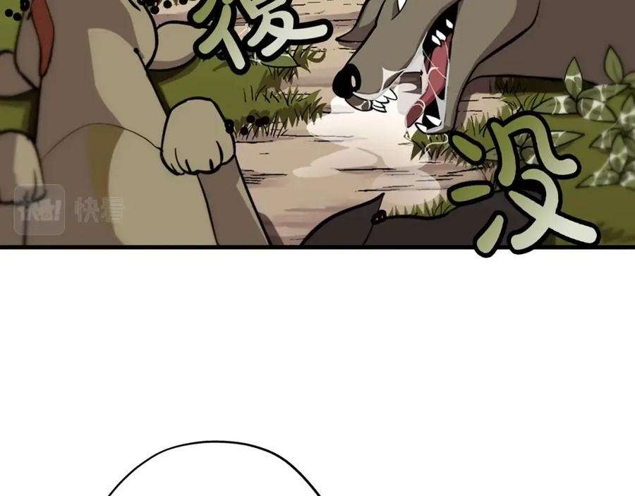 70.jpg