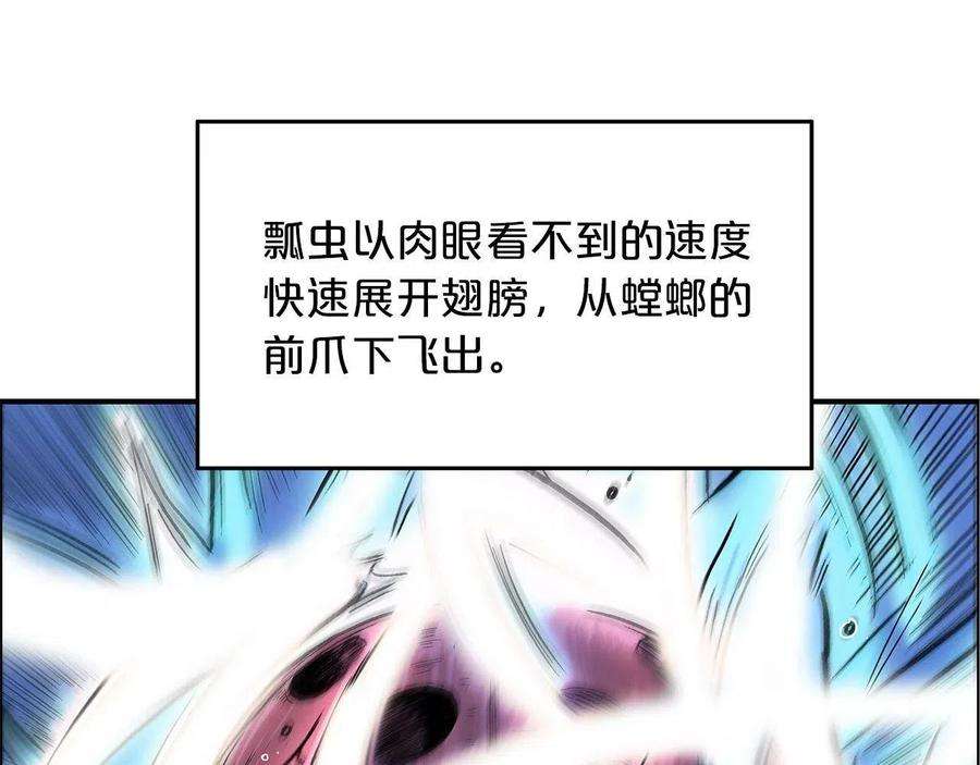 132.jpg