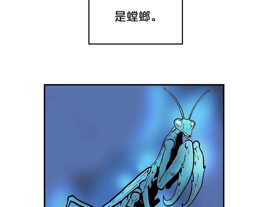 110.jpg