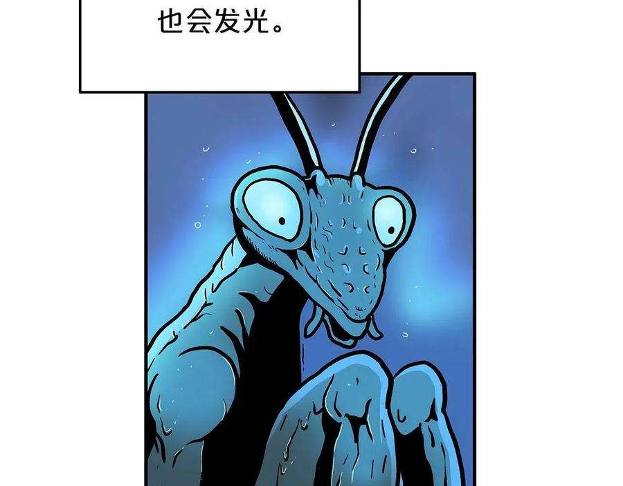 112.jpg