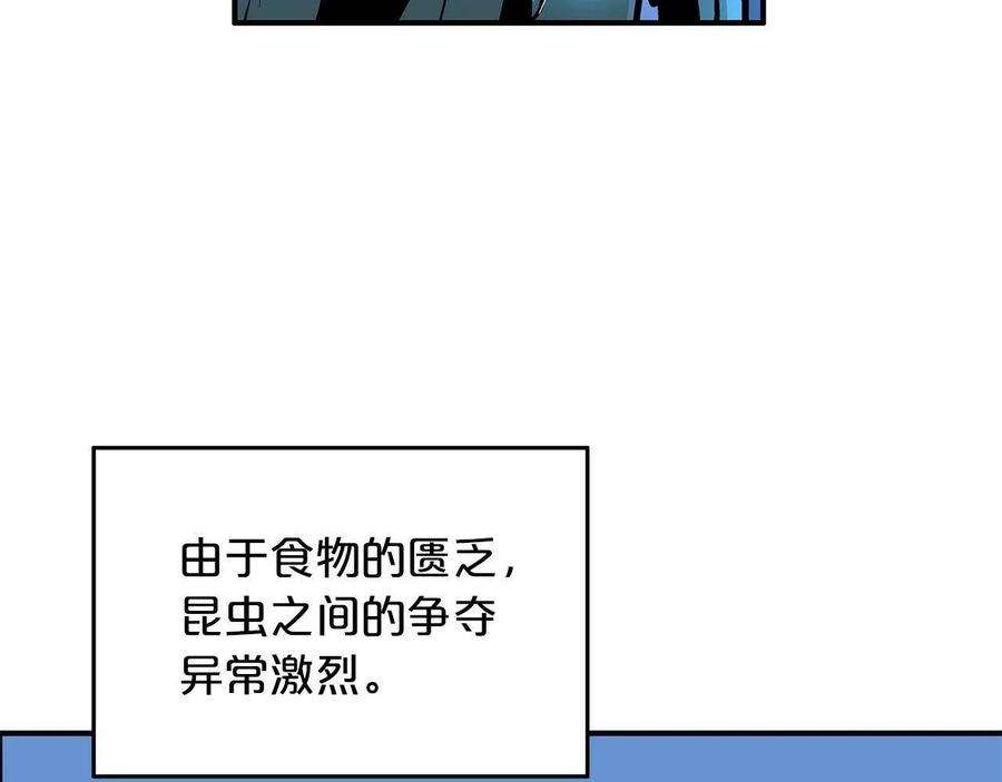 113.jpg