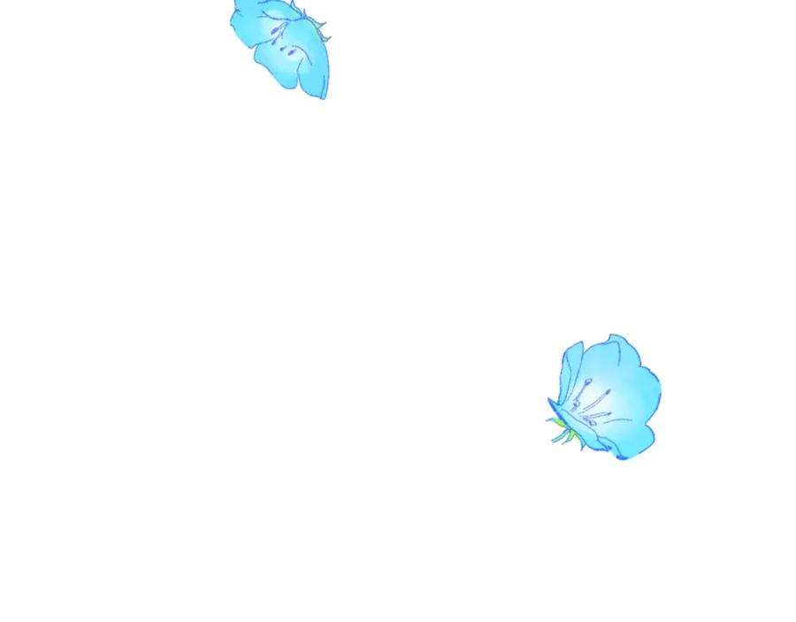 146.jpg