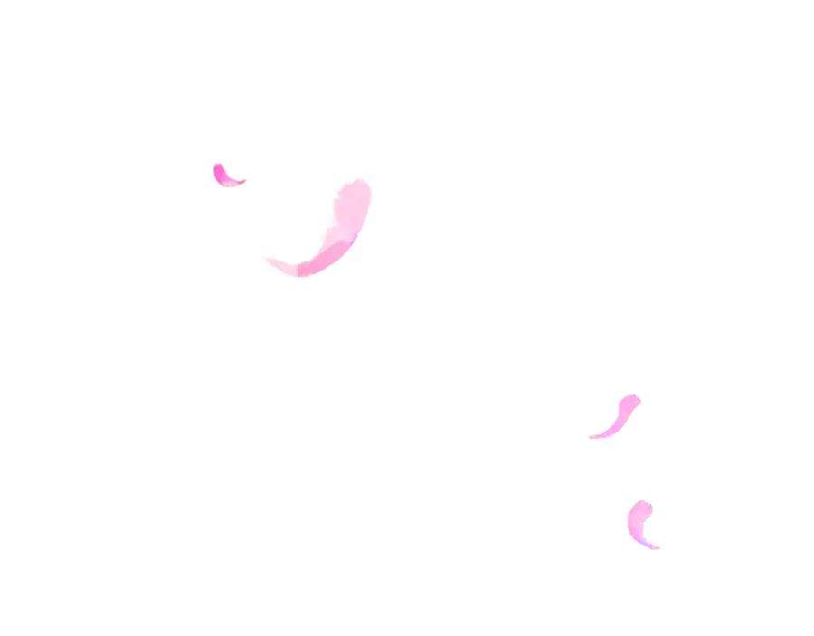 97.jpg