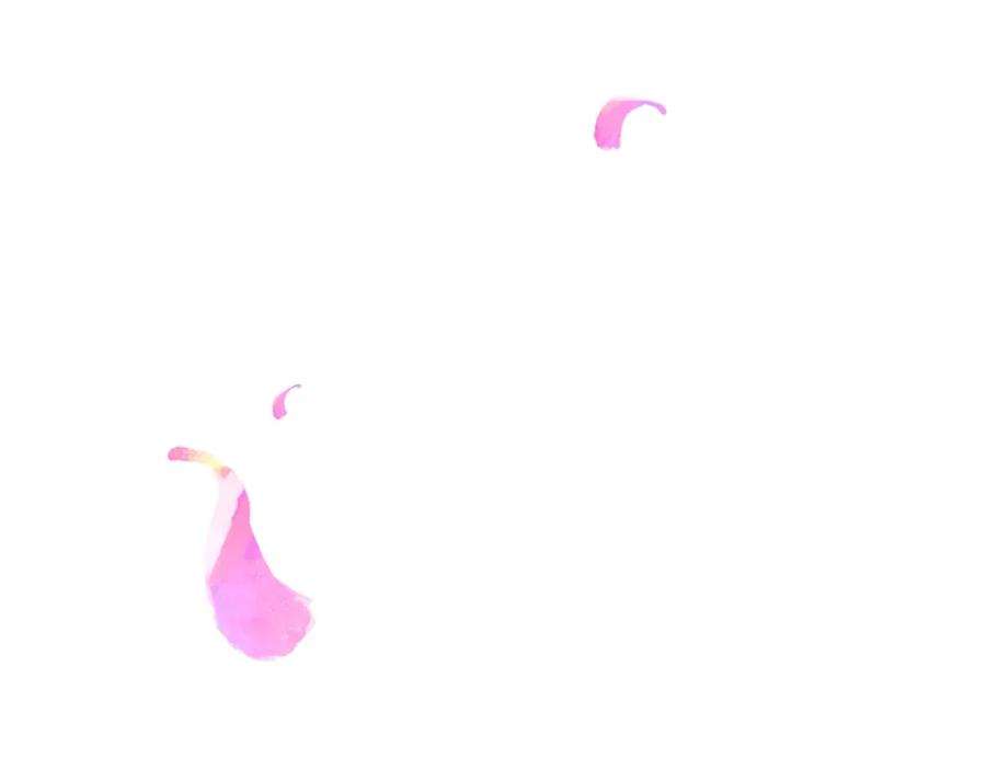 98.jpg