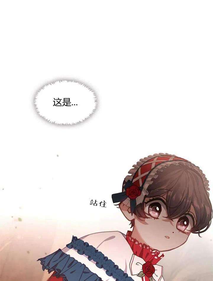 47.jpg