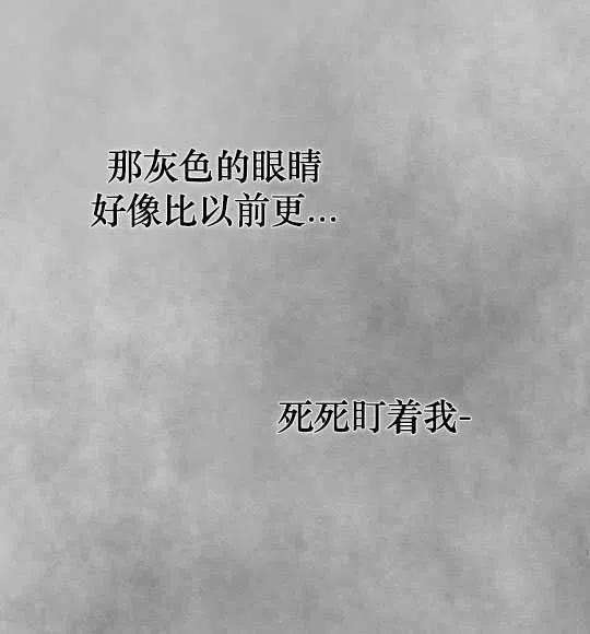 95.jpg