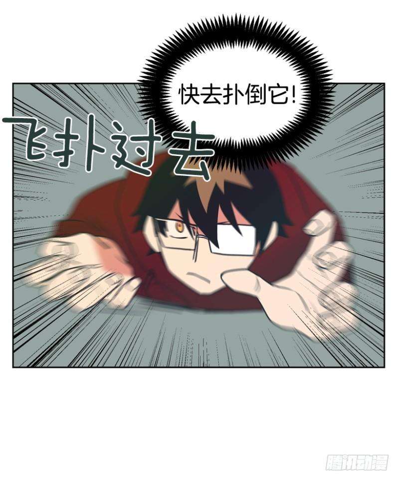 17.jpg