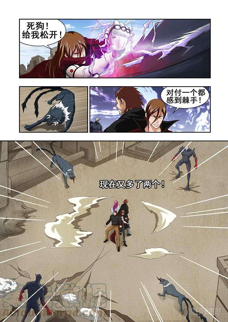 11.jpg