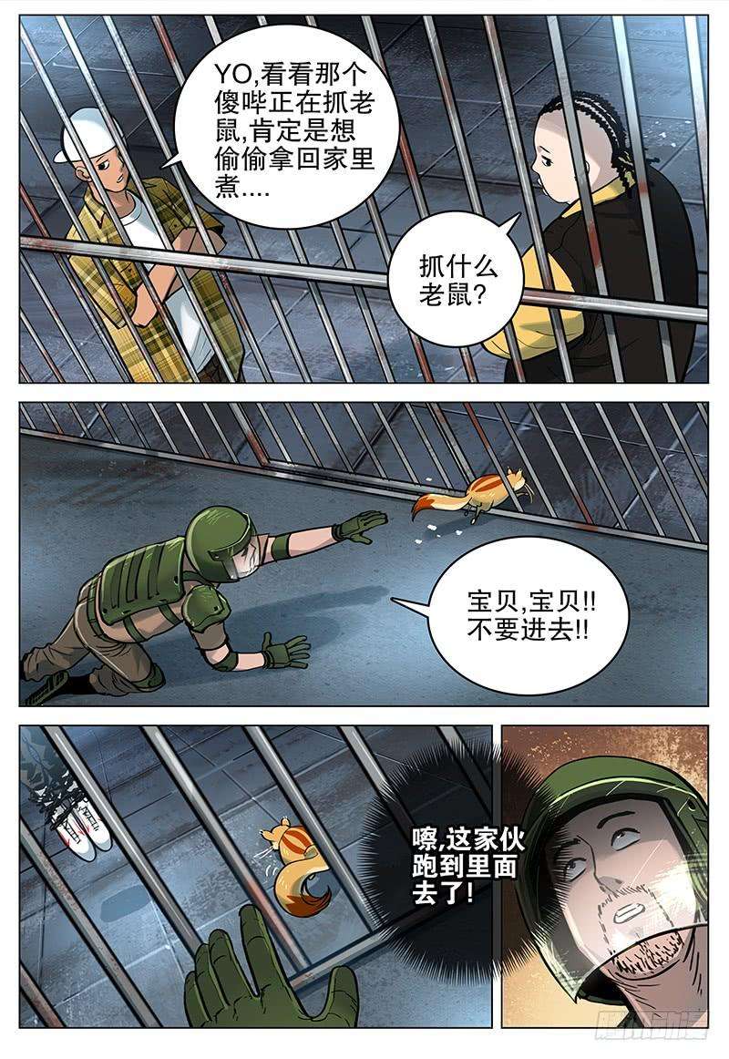 12.jpg