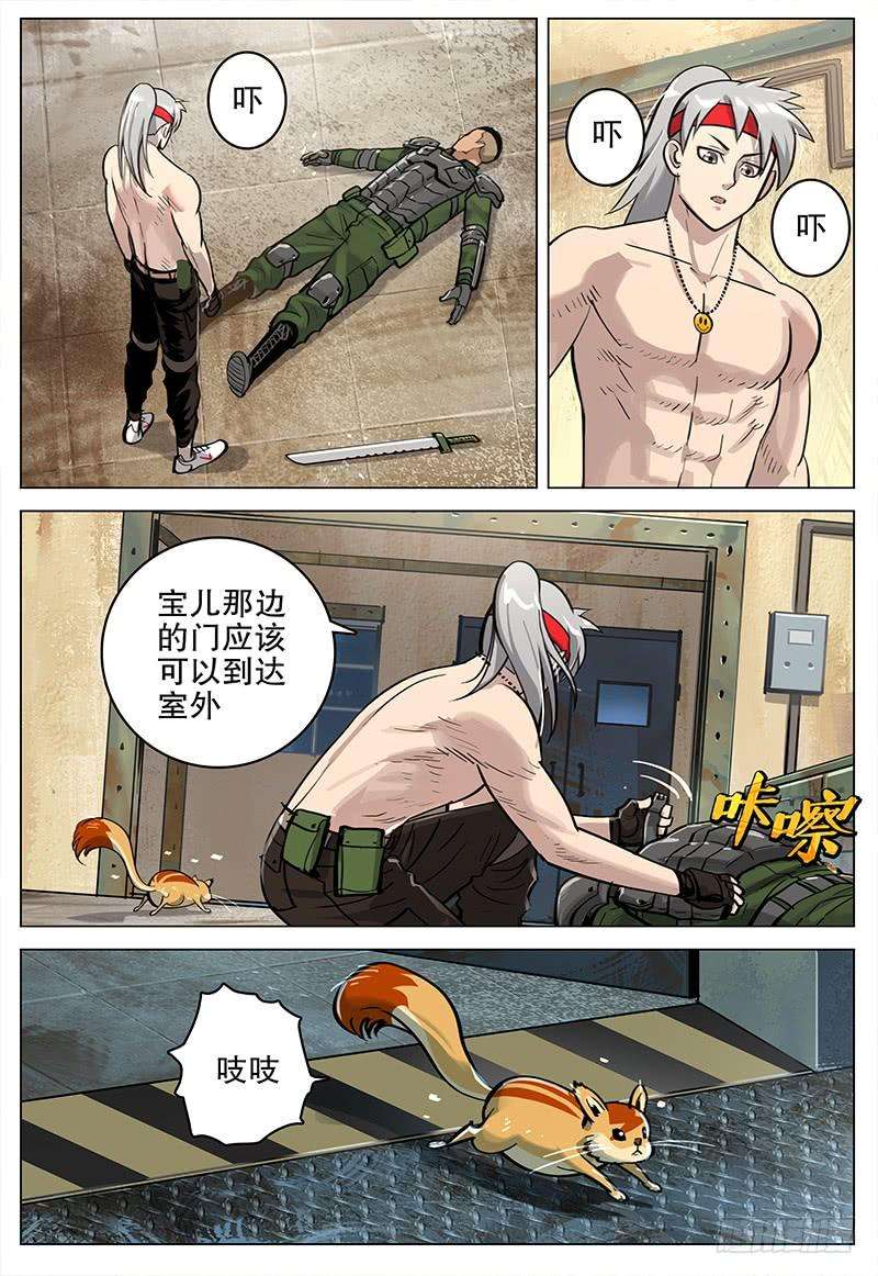 15.jpg