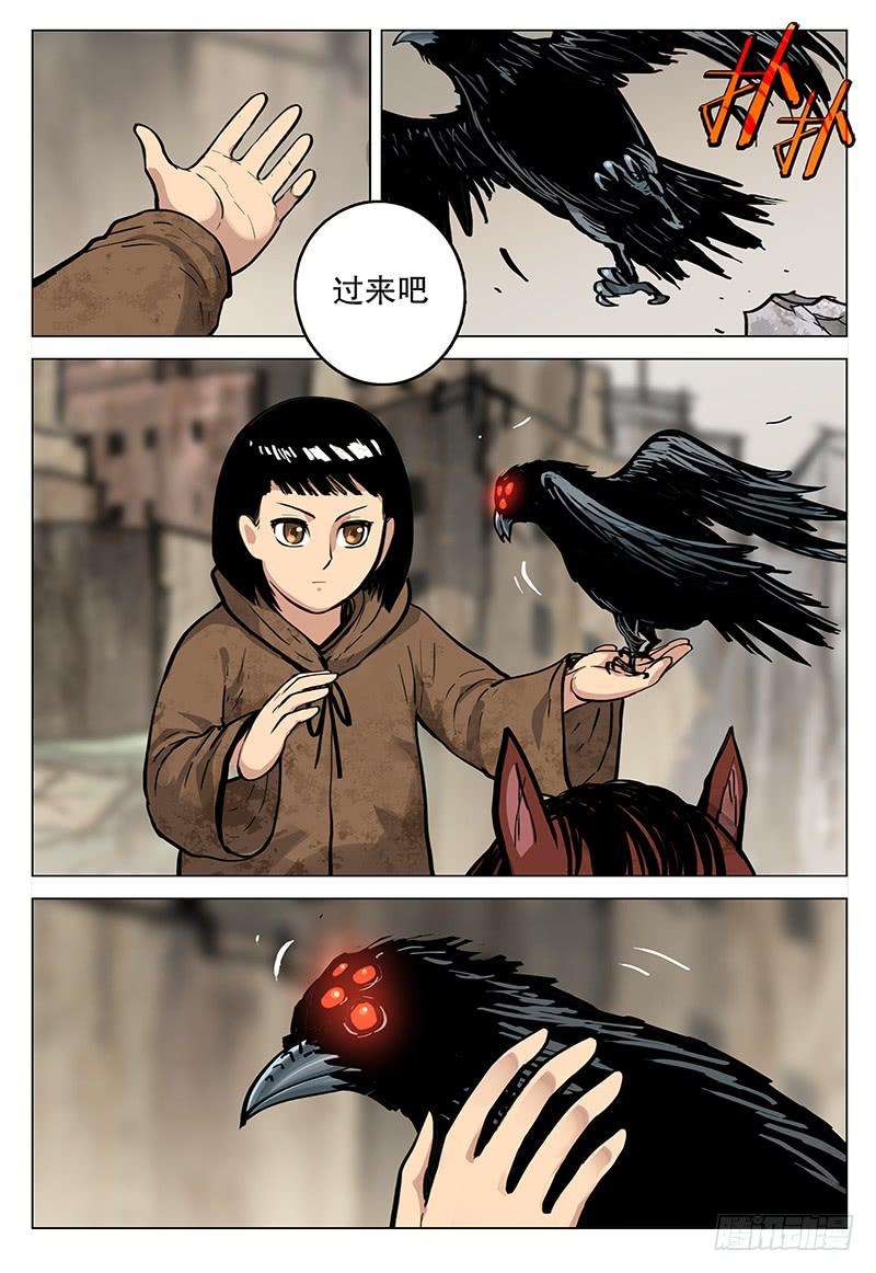 13.jpg