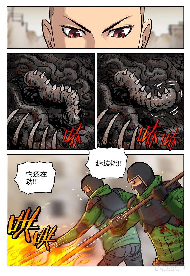 15.jpg