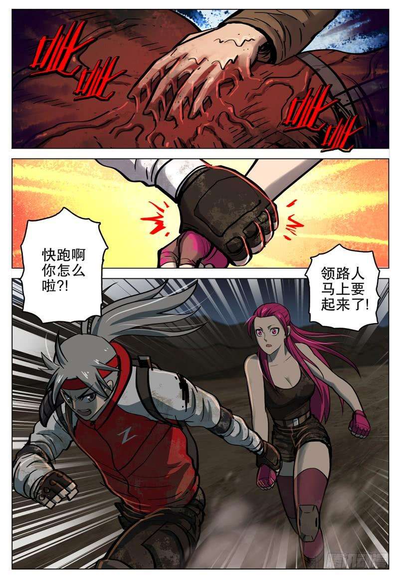 5.jpg