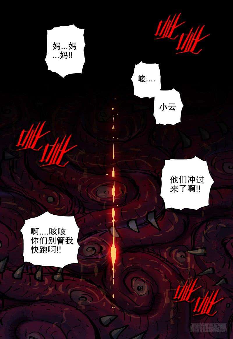 13.jpg