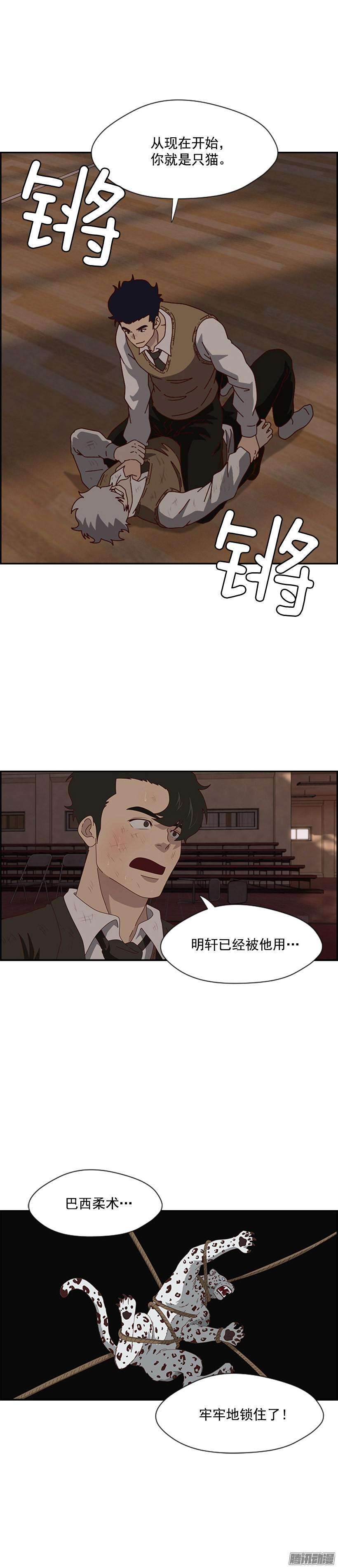13.jpg