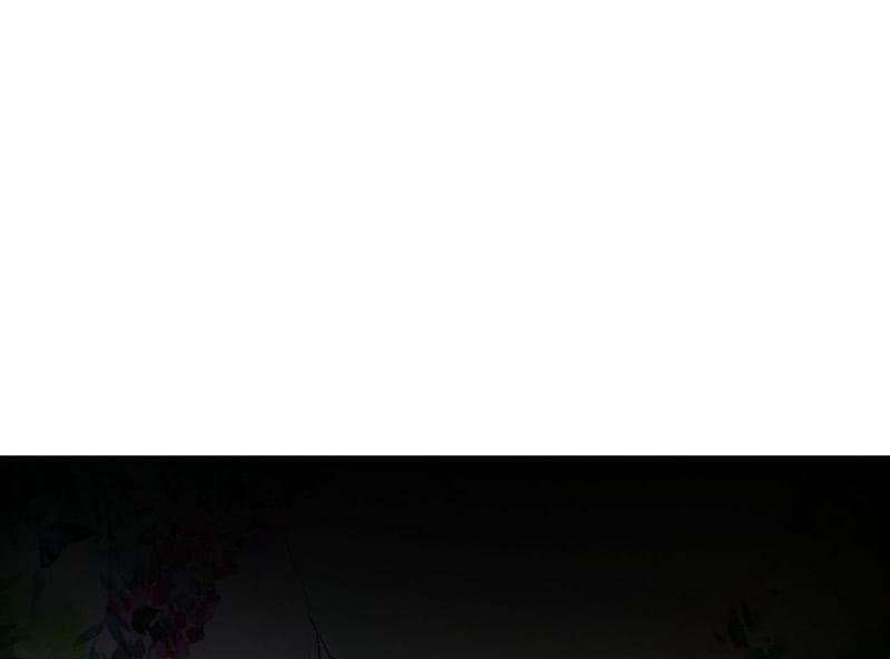 62.jpg