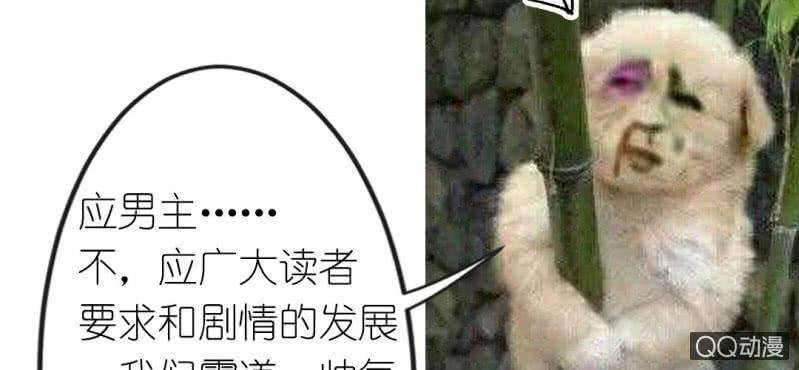 134.jpg