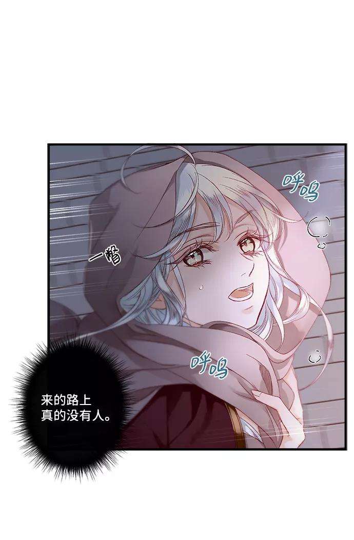 48.jpg
