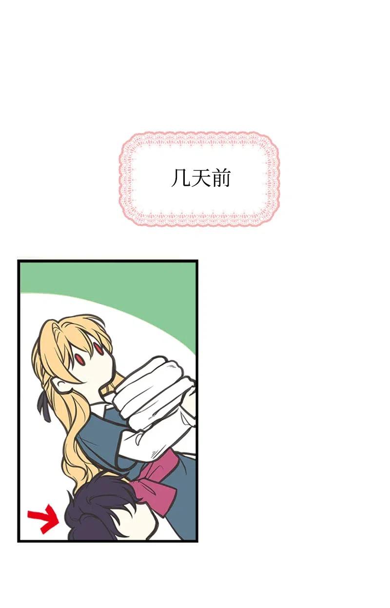 48.jpg