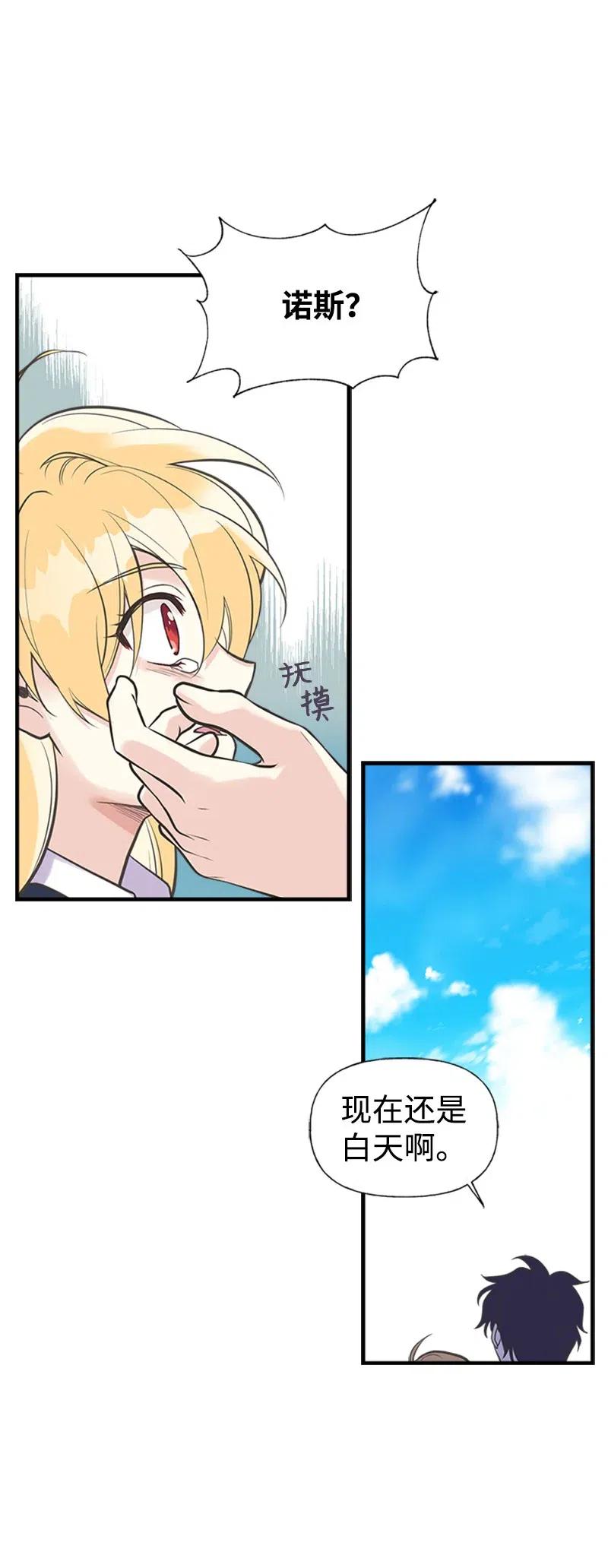 41.jpg