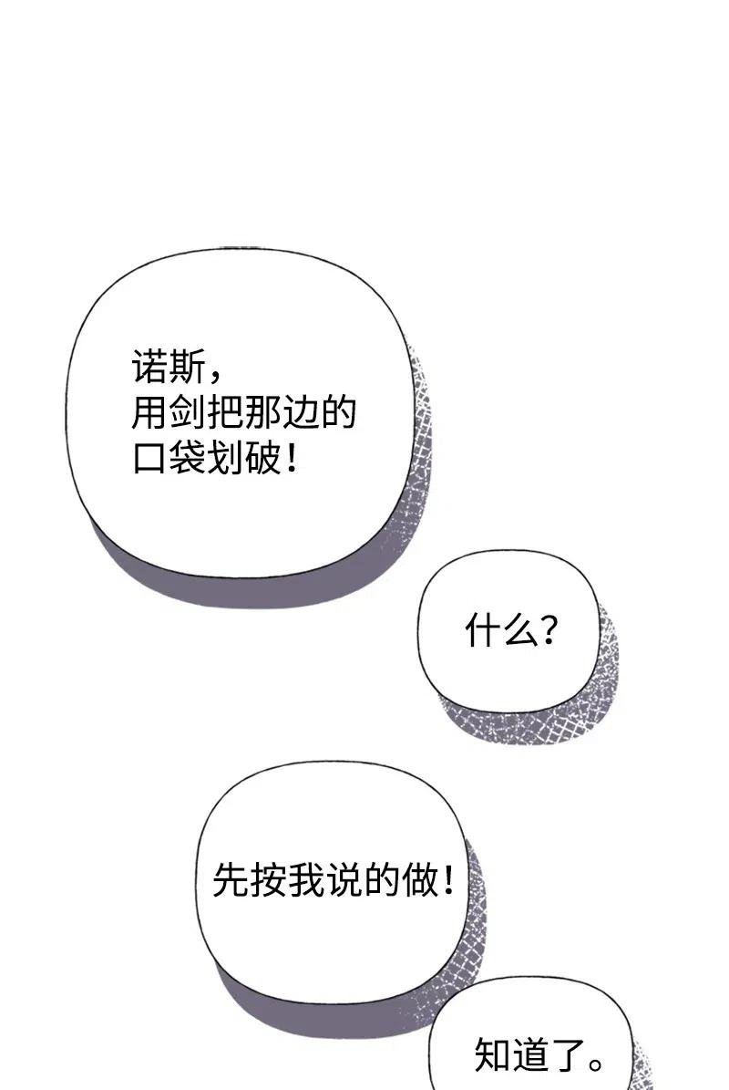 66.jpg