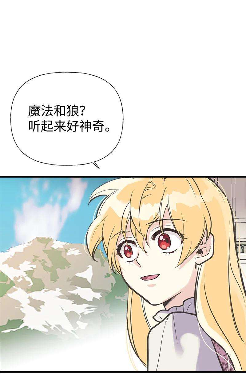 41.jpg