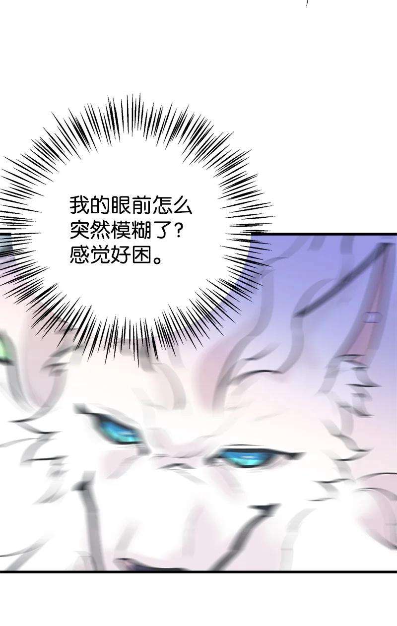 47.jpg