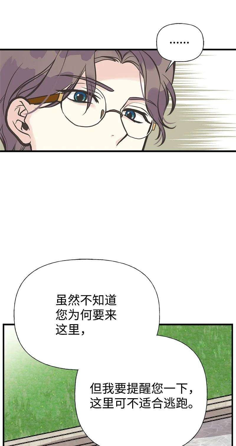 62.jpg