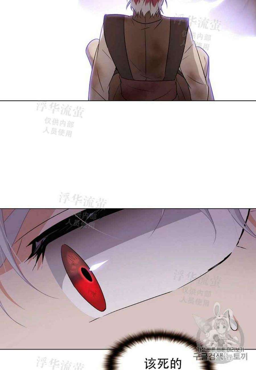 64.jpg