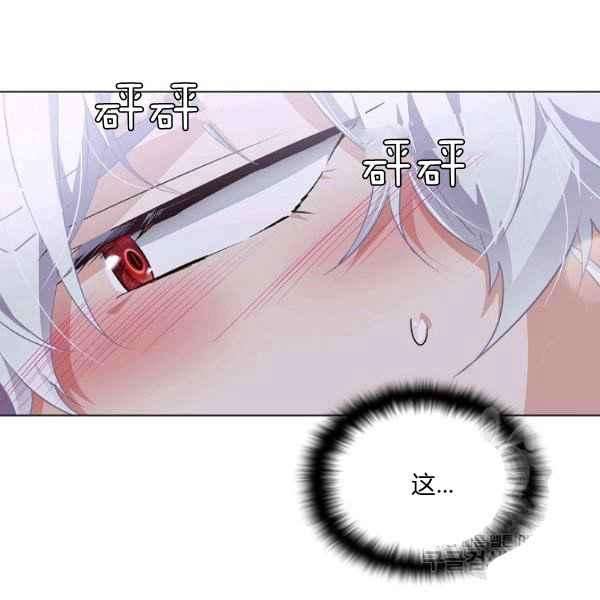 63.jpg