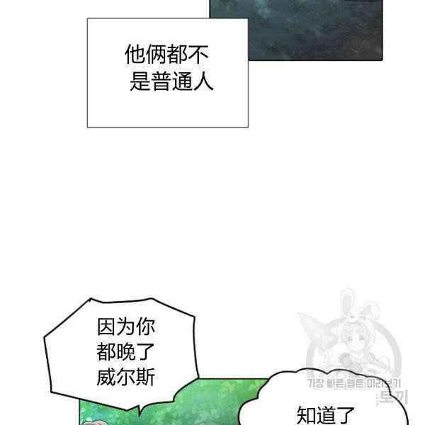 81.jpg